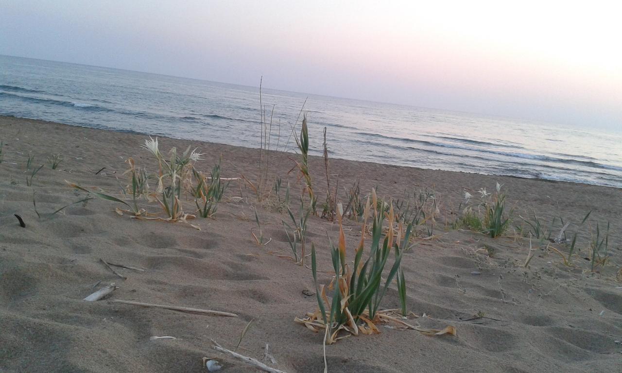 Ionion Star Hotel Tholon Exterior foto