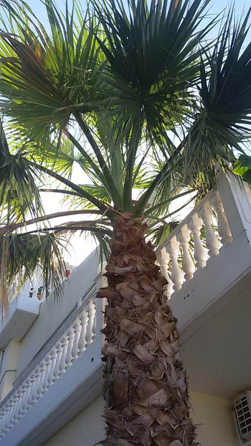 Ionion Star Hotel Tholon Exterior foto